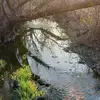 Alex Mathews851 - @alexmathews1 - TikTok