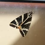 Alex Matter - @alex.matter.31 - Instagram