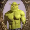 Alex - @alexmattes1 - TikTok