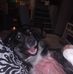 Mayland Alexander - Facebook