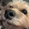 Alex Mays - @alex.mays - TikTok