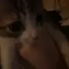 Alex - @alex_mayse - TikTok