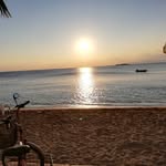 Alex Mayster - @alexizs22 - Instagram