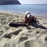 Mazarakis Alexandra - @mazarakisalexandra - Instagram
