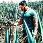 Alex Mazon - @alx_mazon - Instagram