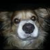 Alex Mazzoli - Facebook