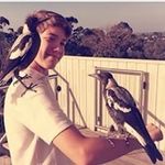 Alex McAuley - @alexpmcauley - Instagram