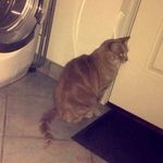 Lexi McAuliffe - @lexi_mcauliffe - Instagram