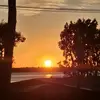 Alex McCaw - @alex.mccaw66 - TikTok
