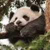 alexmccaw522 - @alexmccaw522 - TikTok