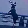 Alex McClung - @alexm29473617 - TikTok