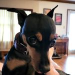 Alex McClure - @alex.mcclure.735 - Instagram
