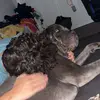 alec.mccluskey - @alec.mccluskey - TikTok
