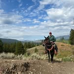 Alex McCorkle - @themccorkle - Instagram