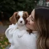 alexandramccorkle - @alexandramccorkle2 - TikTok