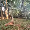 Alex Mccormack - @alex.mccormack91 - TikTok