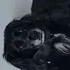 Alex McCormack - @alex.mccormack28 - TikTok