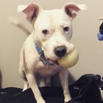 Alex McCourt - @theloveliestlittlebug - Instagram