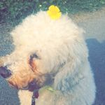 Alex McCready - @alex850963 - Instagram