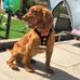 Alec Mcgrattan - Facebook