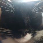 Alex McCrum - @alex_mcnugget - Instagram