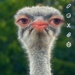 Alex Mccubbin - @alex.mccubbin.1088 - Instagram