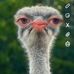 Alex Mccubbin - Facebook