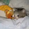 alexmccubbin1999 - @alexx.eu - TikTok