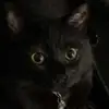 user822438507352 - @alexis_mccumber - TikTok
