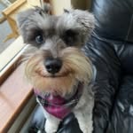 AlexMcCusker - @alex_mccusker2 - Instagram