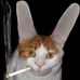Alex Mcelfresh - Facebook