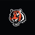 Alex Mcelfresh - @bengals_nation_ - Instagram