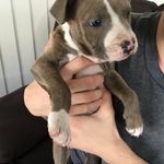 Alex McEwen - @mcewen9129 - Instagram