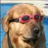 Alex McEwen - @definitely.isnt.alex - TikTok