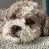 Alex McGarvey - @alex.mcgarvey4 - TikTok