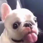 Alex Mcghee - @alex.m1723 - Instagram