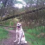 Alex Mcghee - @djmaggymagoo2009 - Instagram