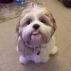 alexmcghee238 - @alexmcghee238 - TikTok