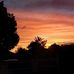 Alex Mcginty - Facebook