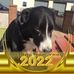 Alex McGlasson - Facebook