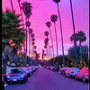 alex mc - @alexmcloughlin - TikTok