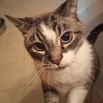 Alex McGraw - @rotten_candy77 - Instagram
