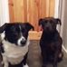Alexander Mcgreevy - Facebook