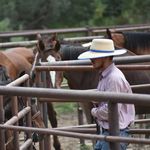 Alex (Joe) McLendon - @homeless_buckaroo - Instagram