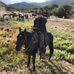 Alex McLendon - Facebook