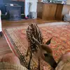 Alex Mclennan III - @alex.mclennan.iii - TikTok