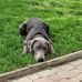 Alex McNabb - Facebook