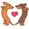 Alex Mcnabb - @alex.mcnabb2 - TikTok
