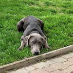 Alex McNabb - @mcnabbalex - Instagram