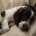 Alex McPhee - @xandermcph - Instagram